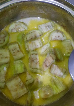 Foto resep Sayur Santan Terong Ungu