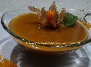 Foto principal de Moouse de chocolate con gelatina de physalis