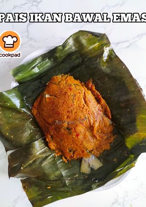 Gambar Pais Ikan Bawal Emas