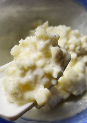 Una foto de Como descongelar nódulos kéfir(de leche)