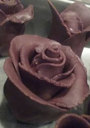 A picture of Chocolate Strawberry Roses.