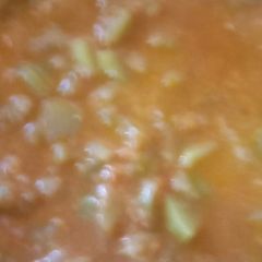 A picture of Shahi veg.