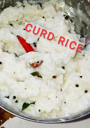 A picture of Curd rice.