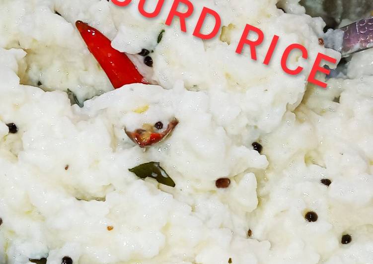 Teach Your Children To Curd rice