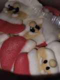 Papá Noel de glasé!!