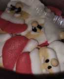 Papá Noel de glasé!!