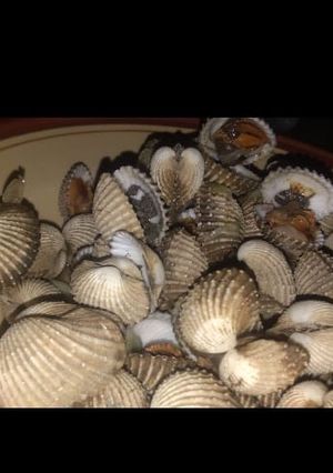 Foto resep Kerang rebus simpel