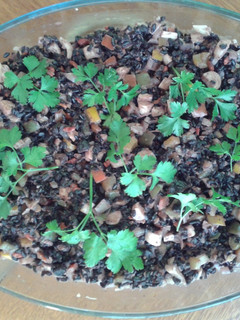 Una foto de Arroz negro de verano