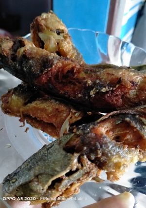Foto resep Lele goreng krispy