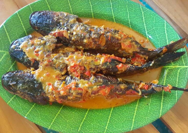 Langkah Mudah untuk meracik Kuthuk Masak Pedas Bulbul yang nikmat