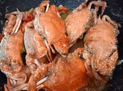 Gambar rajungan bumbu pedas
