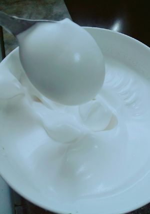Una foto de Merengue vegano 🐣