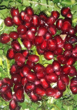 صورة لوصفة سلطة رمان