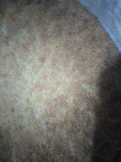 صورة لوصفة البسبوسه البيتي