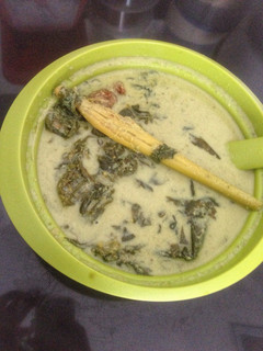 Foto resep Gulai Pakis