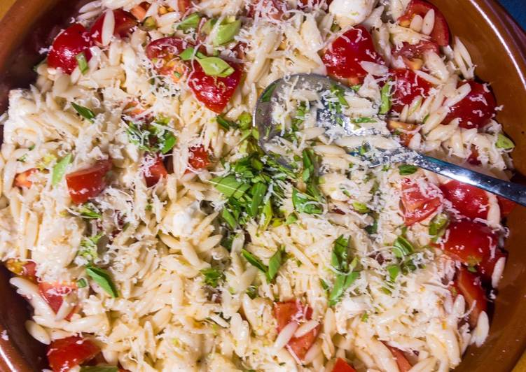 Leckerer Caprese-Orzo-Salat - mein Familienrezept