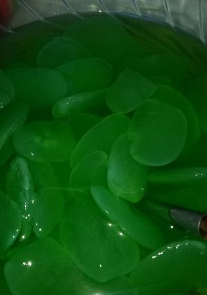 Foto resep Manisan kolang kaling
