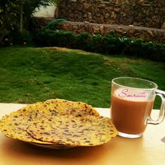 A picture of Methi Thepla.