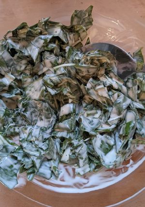 A picture of My grandma's wild garlic salad.