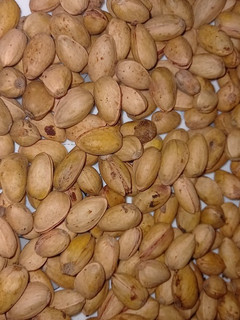 عکسی از دستور پسته بو داده