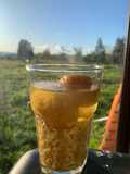Mote con Huesillo