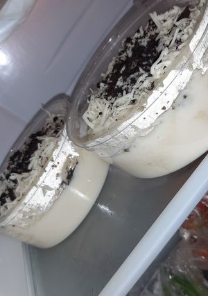Foto resep Stup roti cheesy milky menu takjil