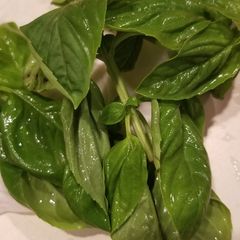 A picture of Store Herbs.