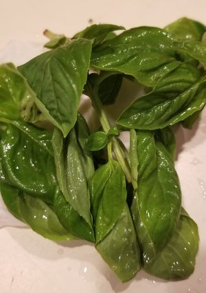 A picture of Store Herbs.