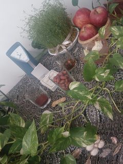 عکسی از دستور سفره عیدمون