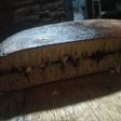 Martabak Manis Teflon NO Ragi