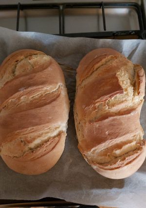 Házi kenyér recept fotója