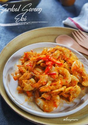 Foto resep Sambal Goreng Ebi