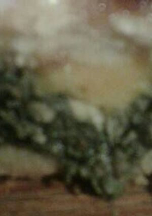 Una foto de Pascualina diferente
