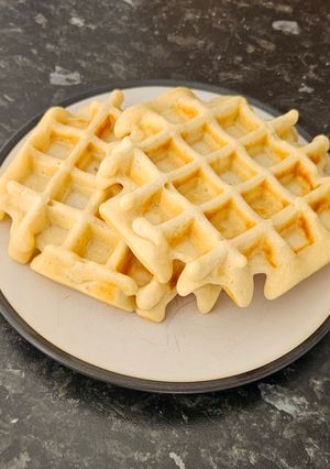 A picture of Waffles.