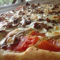 A picture of Simple thick crust pizza dough.