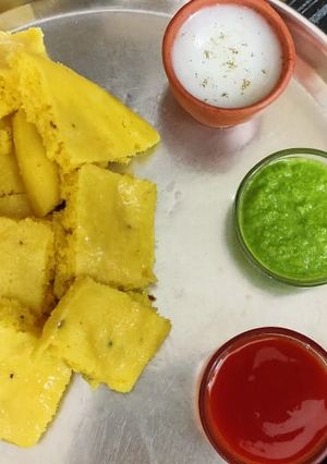 ખાટીયા ઢોકળા (Khatia Dhokla Recipe In Gujarati) રેસીપી મુખ્ય ફોટો