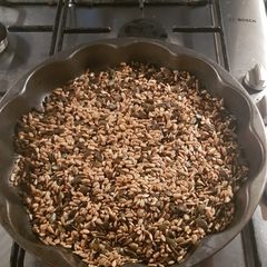 A picture of Tamari seeds.