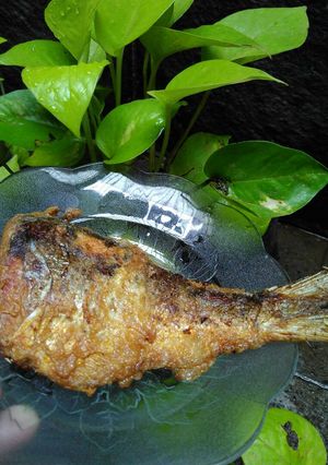 Foto resep Bandeng Presto Praktis