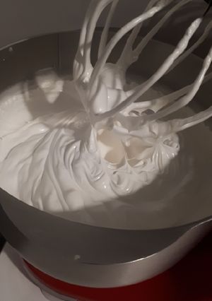 Una foto de Merengue italiano