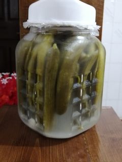 عکسی از دستور خیارشور