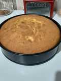 Bolo de Fubá APLV