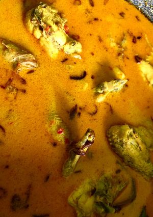 Foto resep Kari Ayam