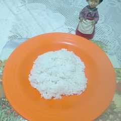 A picture of Nasi Rempah.