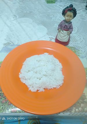Foto resep Nasi Rempah