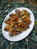 Ikan Papuyu Goreng