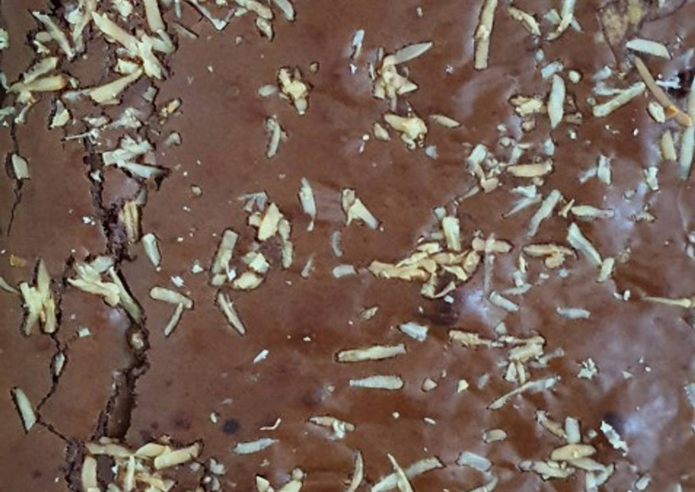 Fudge Brownies Coklat Premium (lapisan atas shiny Crust)