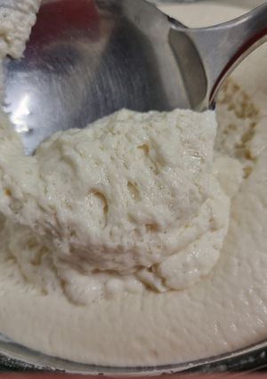 A picture of Idli batter.