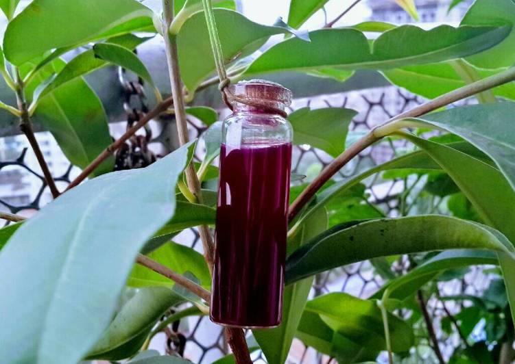 Easy Way to Cook Perfect Black Plum Juice for Diabetic Patients