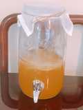 How to brew Jun Kombucha