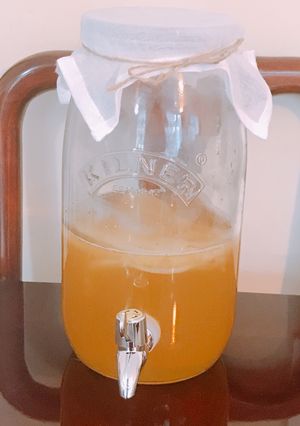 A picture of How to brew Jun Kombucha.